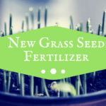 Fertilizer to use on New Grass Seed