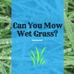 can you mow wet grass