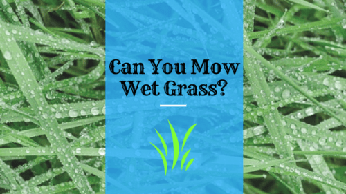 can you mow wet grass