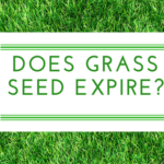 does grass seed expire