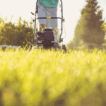 Mowing Kentucky Bluegrass