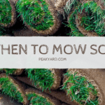 mowing new sod