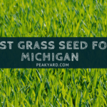 Best Grass Seed Michigan