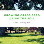Growing Grass Seed Using Top Soil