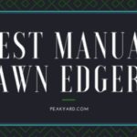 Best Manual Lawn Edger