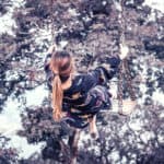 11 Best Tree Swings for your Backyard