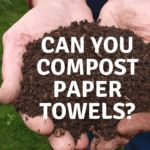 compost paper towel