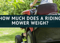 What is the Fastest Growing Grass Seed? Peak Yard