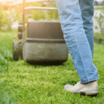 Best Lawn Mowers for a Small Yard
