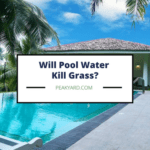 Does pool water kill grass