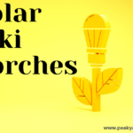 Best Solar Tiki Torches for your Yard