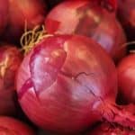 can you compost onions