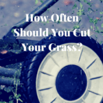 how often should you mow grass