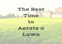 What is the Fastest Growing Grass Seed? Peak Yard