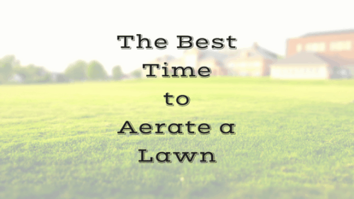 When to aerate a lawn