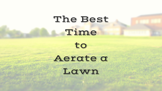 The Best Time to Aerate Your Lawn | Peak Yard