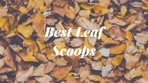 Best Leaf Scoops