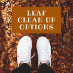 Ways to clean up leaves