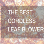 Top cordless leaf blowers