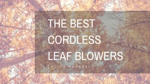 Top cordless leaf blowers
