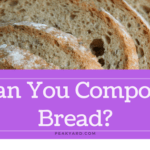 can you compost bread