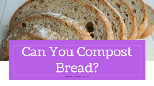 can you compost bread