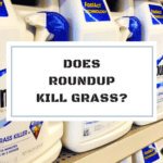 Roundup grass killer