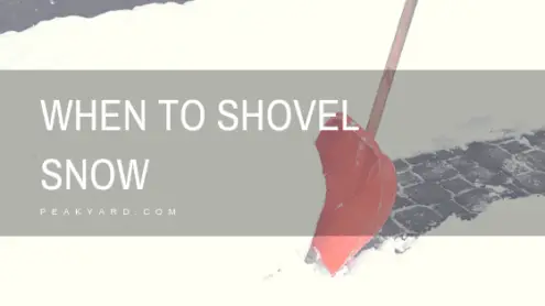 shovel while still snowing