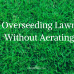 Overseed grass without aerating