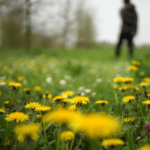 Best Dandelion Killers for your Lawn