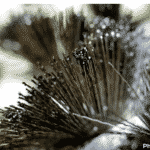 Wire Grill Brush Dangers - A Potential Major Risk to Your Body