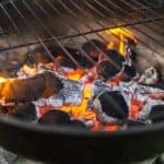 Type of Grill