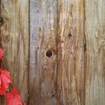 Which Side of the Fence Do I Own?