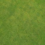 Best Manual Lawn Aerators for 2021