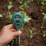 Best Soil Moisture Meters (2021 Edition)