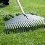 How To Collect Grass Clippings After Mowing