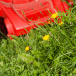Should I Bag My Grass Clippings If I Have Weeds?