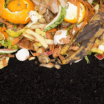 Can You Compost Orange Peels?